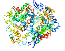 Protein structure of COX2.